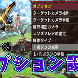 【攻略メモ】MHXX #3 – オススメのオプション設定